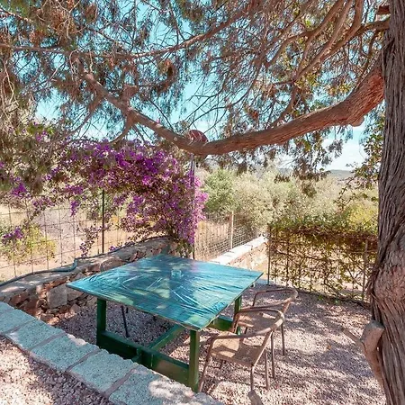 Pettirosso Garden Alojamento de Acomodação e Pequeno-almoço San Teodoro (Sardinia)