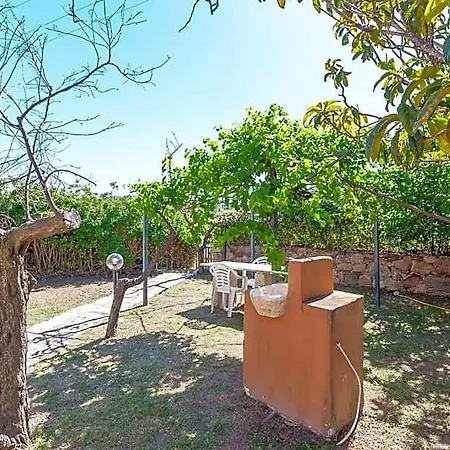 Pettirosso Garden 3* San Teodoro