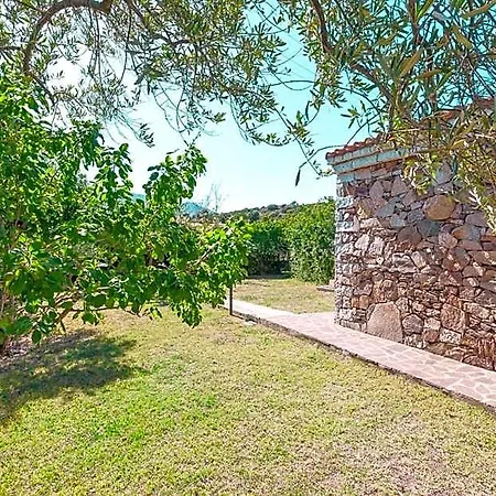 Panzió Pettirosso Garden San Teodoro